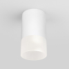 Потолочный светильник уличный Elektrostandard Light LED 35139/H белый