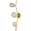 Настенный светильник Loft It Sakura 10212W Gold