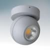 Спот Lightstar Globo 051009