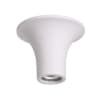 Потолочный светильник Odeon Light Gesso 3552/1C