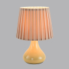 Интерьерная настольная лампа Lumion Naina 8183/1T