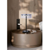 Интерьерная настольная лампа Lumion Satiana 8203/1TL