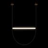 Подвесной светильник Loft It Liana 10221/1250