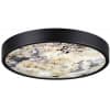 Настенно-потолочный светильник Odeon Light Bergi 5064/30L