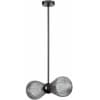 Потолочная люстра Odeon Light Elica 5417/2