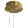 Подвесной светильник Freya Plum FR6137PL-L21BT1