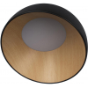 Потолочный светильник Egg 10197/350 Black Loft It