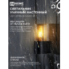 Светильник уличный настенный односторонний IN HOME НБУ AMBER-1хA60-BL алюминиевый черный IP54 4690612052878