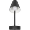 Настенный светильник Loft It Shelf 10216/1W Black