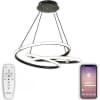Потолочная люстра Natali Kovaltseva Smart Home LED LAMPS 81291