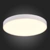 Потолочный светильник ST Luce ST606.532.96