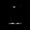 Подвесной светильник Ring 10013L Loft It