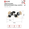 Светильник потолочный под лампу IN HOME AURA TESO-BL-4E27 540x430x150 черный, золото 4690612058092