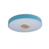 Потолочный светильник Axel 10003/24 Blue Loft It