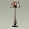Настольная лампа ODEON LIGHT TOWER 4852/1T