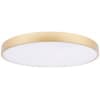 Потолочный светильник Loft It Flims 10228/B