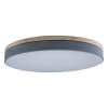 Потолочный светильник Axel 10001/36 Grey Loft It