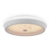 Потолочный светильник Freya Cells FR10012CL-L24W