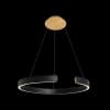 Подвесной светильник Ring 10025/600 Black Loft It