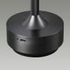 Интерьерная настольная лампа Odeon Light Tet-A-Tet 5034/6TL