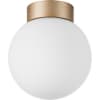 Потолочный светильник Lightstar Globo 812013