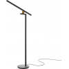 Торшер Maytoni Empathy MOD363FL-L14B3K