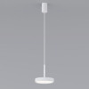 Подвесной светильник Elektrostandard Plate 50260 LED