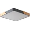 Потолочный светильник Zortes Alberro ZRS.01288.60