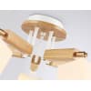 Потолочная люстра Ambrella TRADITIONAL TR9518
