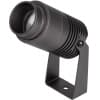 Прожектор уличный Arlight RAY 032560
