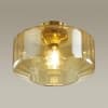 Потолочный светильник ODEON LIGHT BINGA 4747/1C