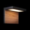 Настенный светильник уличный Loft It Oak 100001W