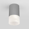 Потолочный светильник уличный Elektrostandard Light LED 35139/H серый