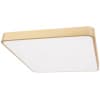 Потолочный светильник Loft It Flims 10228/D