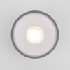 Потолочный светильник уличный Elektrostandard Light LED 35141/H серый