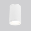 Потолочный светильник уличный Elektrostandard Light 35128/H белый