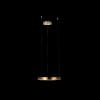 Подвесной светильник Ring 10013S Loft It