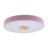 Потолочный светильник Axel 10003/24 Pink Loft It