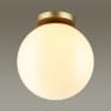 Потолочный светильник ODEON LIGHT BOSCO 4248/1C